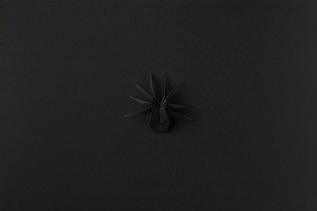 black origami spider for halloween, isolated on black with copy spaceの写真素材