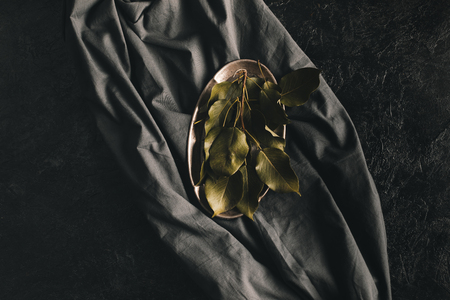 top view of apple tree leaves on plate and tablecloth isolated on black surfaceの写真素材