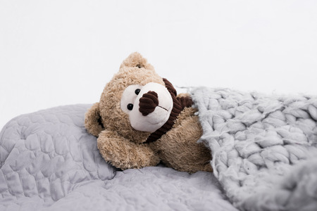 teddy bear in bedの写真素材