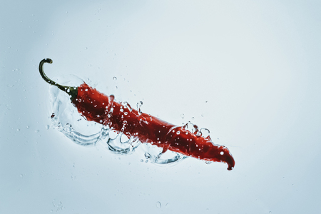 fresh chili pepper floating in water with splashの写真素材
