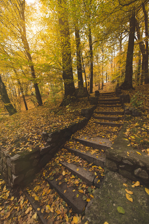 high angle view of stairs on hill at autumn park の写真素材