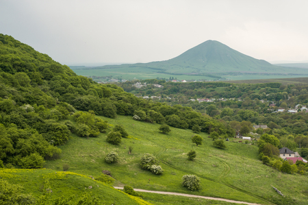 scenic view of green valley covered with treesの写真素材