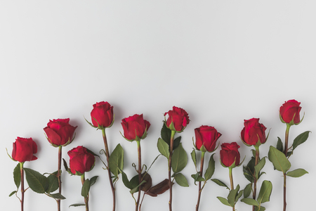 top view of arranged red roses isolated on whiteの写真素材