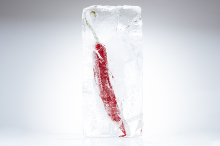 chili pepper in melting iceの写真素材