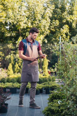 gardener in apron using tablet while working in gardenの写真素材