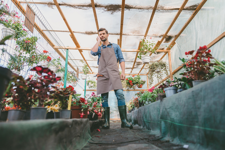 gardener in apron talking on smartphone while standing in greenhouseの写真素材