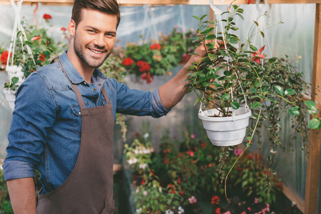 gardener in apron checking plants during work in greenhouseの写真素材