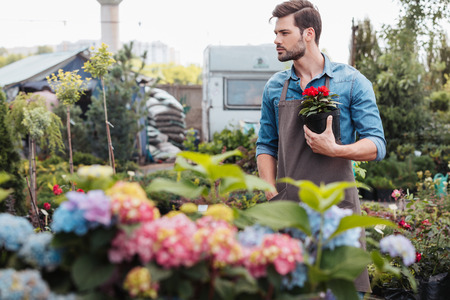 pensive gardener holding flower in flowerpot while standing in garden and looking awayの写真素材