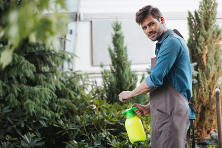 gardener spraying plants while working in gardenの写真素材
