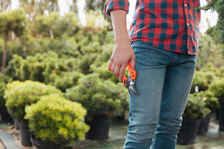 gardener in casual clothing holding pruning shears in hand while