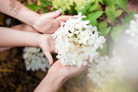 cropped shot of mother and daughter touching beautiful blooming flowers outdoorsの写真素材