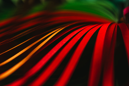 close up view of green, yellow and red quilling striped paperの写真素材
