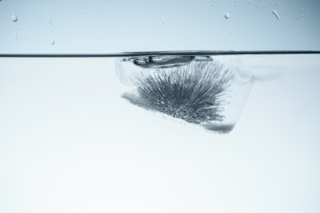 ice cube in water, isolated on whiteの写真素材