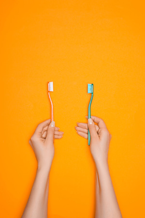 woman holding two toothbrushes, isolated on orangeの写真素材