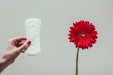 partial view of woman holding menstrual pad in hand with flower near byの写真素材