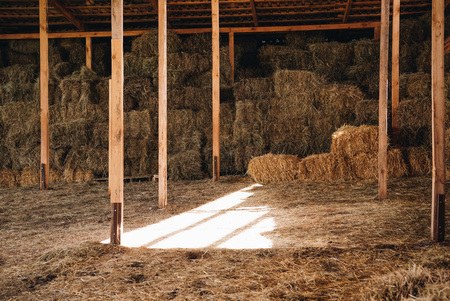 stacked hay in agricultural stallの写真素材