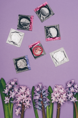 top view of condoms and arranged flowersの写真素材