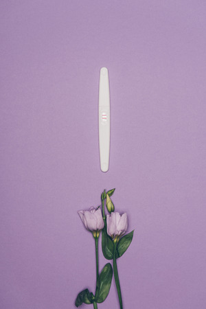 top view of arranged pregnancy test and flowers with green leavesの写真素材