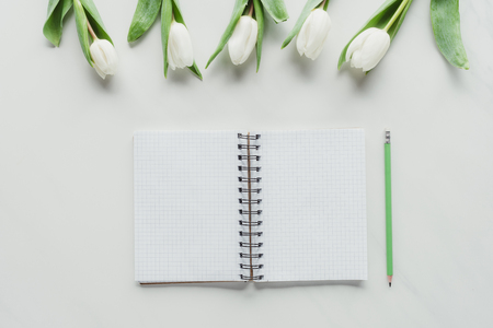 top view of notebook and pencil with white tulips on white surfaceの写真素材