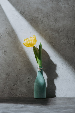 yellow spring tulip in blue vase on grey surface with shadowの写真素材
