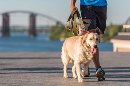 sportsman walking with dogの写真素材