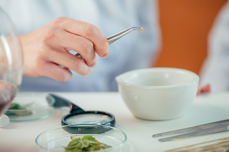 biologist working in laboratoryの写真素材