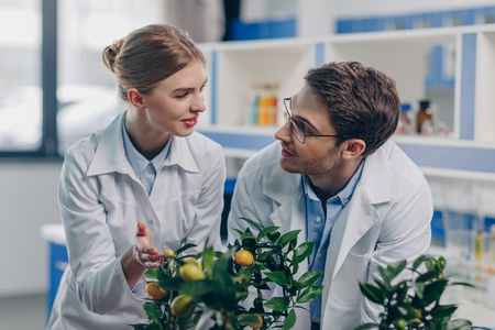 biologists in white coats with lemon plantsの写真素材