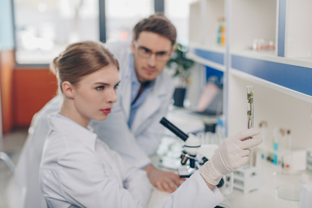 biologists with plant in tubeの写真素材