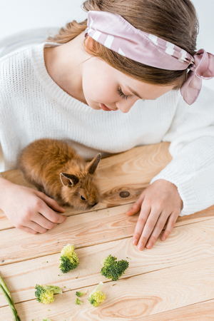 girl feeding cute furry rabbit with broccoli on wooden tableの写真素材