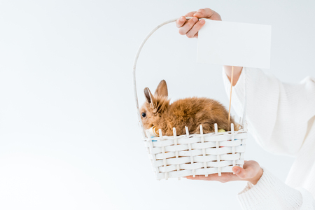 cropped shot of girl holding basket with cute furry rabbit and blank cardの写真素材