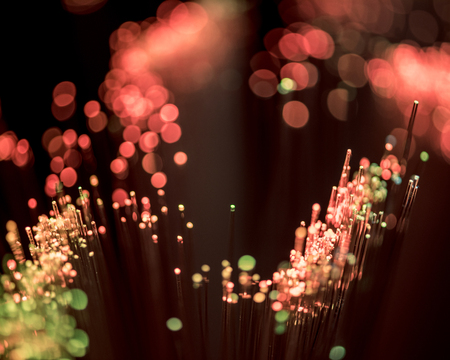 selective focus of shiny pink fiber optics backgroundの写真素材