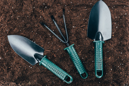 top view of small gardening tools