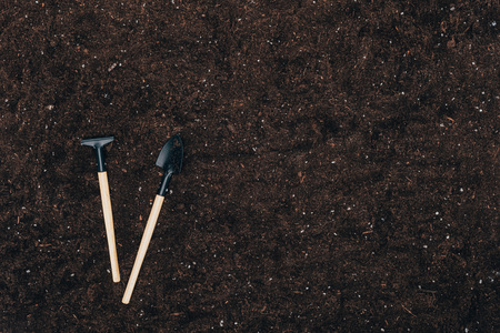 gardening tools on ground with copy spaceの写真素材