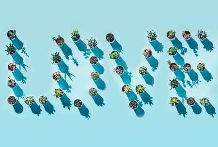 top view of word love made from green potted plants on blueの写真素材