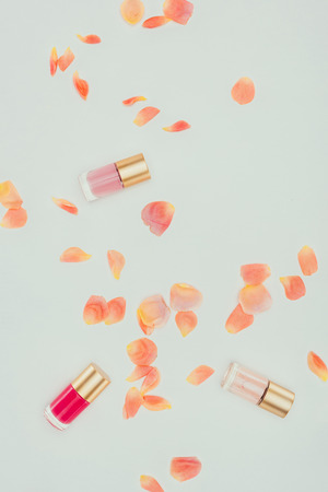 beautiful tender rose petals and nail polishes on greyの写真素材