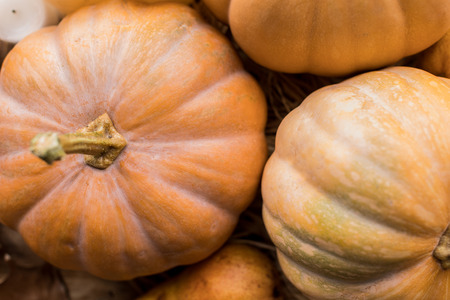 top view of ripe fresh organic pumpkins on rustic tableの写真素材
