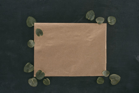 top view of blank paper envelope with eucalyptus leaves over black background