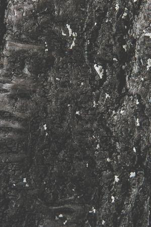 close-up view of black blank rough background