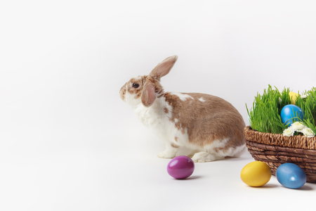 Side view of rabbit near easter basket with grass and eggsの写真素材