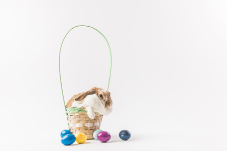 Easter rabbit sitting in basket with painted eggsの写真素材
