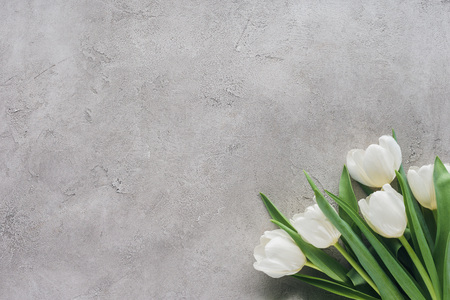 top view of white tulips on concrete surfaceの写真素材