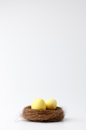 yellow painted easter eggs in decorative nest on whiteの写真素材