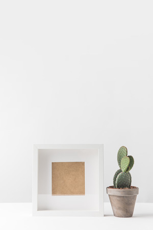 close-up view of beautiful green potted cactus and empty photo frame on white の写真素材