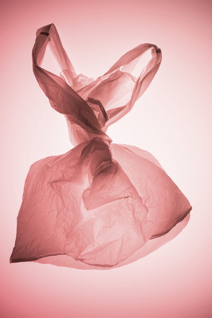 teid plastic bag under pastel pink toned lightの写真素材