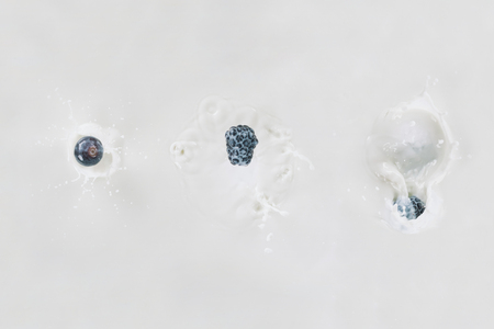 Three berries in row falling into milk on white backgroundの写真素材