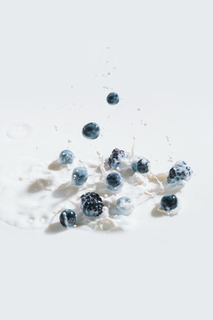Blackberries and blueberries falling in milk with drops on white backgroundの写真素材