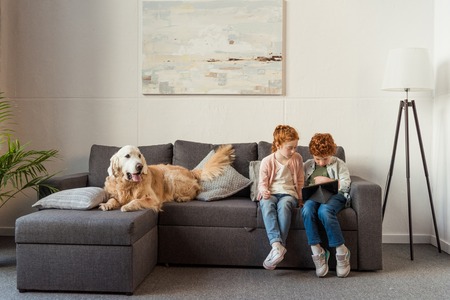 little boy and girl using tablet together and dog resting on sofa at home