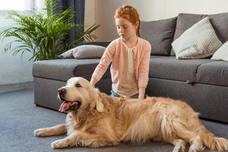 portrait of little girl petting dog while sitting on floor at homeの写真素材