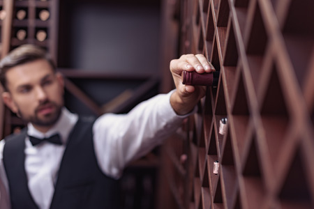 Portrait of young handsome sommelier choosing wine in cellarの写真素材