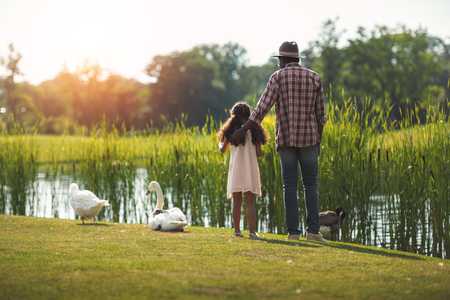 rear view of african american granddaughter and her grandfather standing on pond with birdsの写真素材